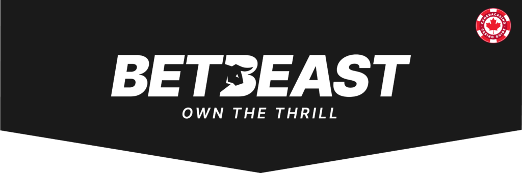 What You Can Expect from This BetBeast Casino Review