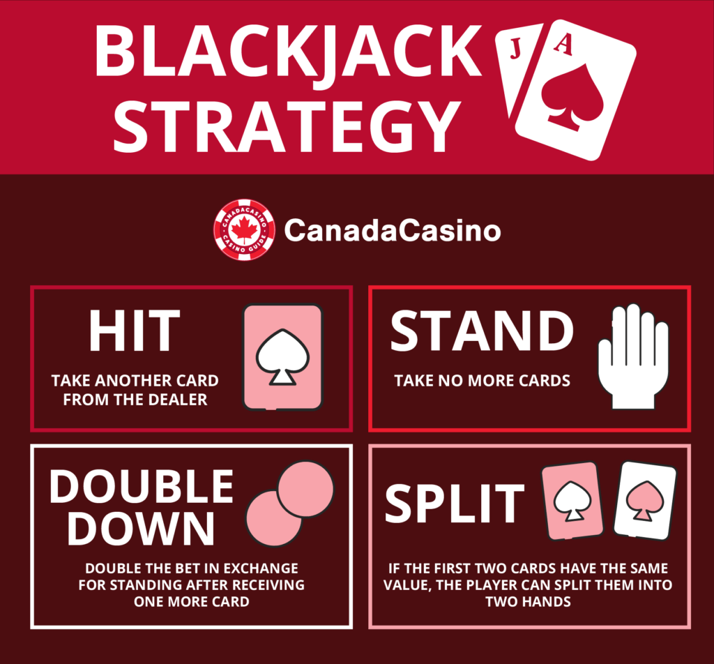 <strong>Familiarize yourself with all relevant rules, odds, bets, and payouts.</strong>